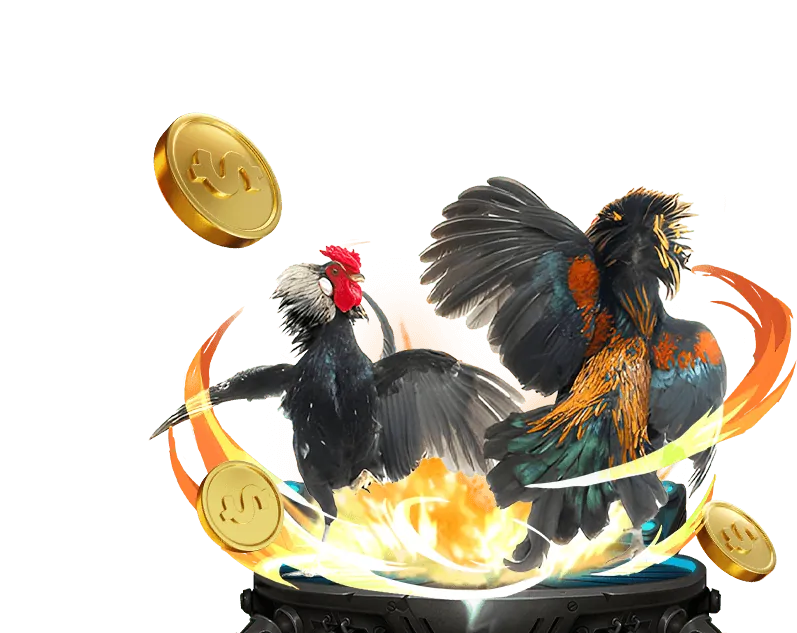 Các loại hình giải trí khác tại casino