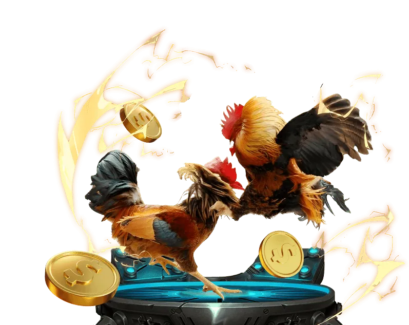 Hình ảnh minh họa sự phát triển của đá gà trực tuyến